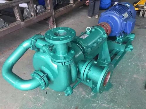 云浮80zje75 55電鍍污水處理壓濾機專用泵加工誠信經營